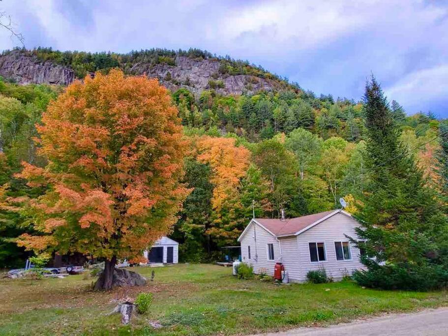 Chalet Falaise By Chalets Nabu Villa Saint-Alexis-des-Monts Esterno foto